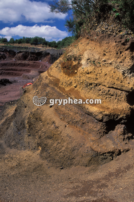 Puy de Lemptégy - gryphea.org